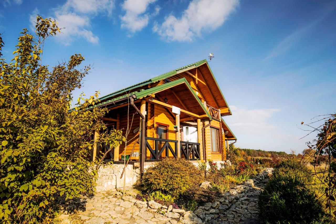 Country house Domik v derevne Markovtsy  Exteriér fotografie