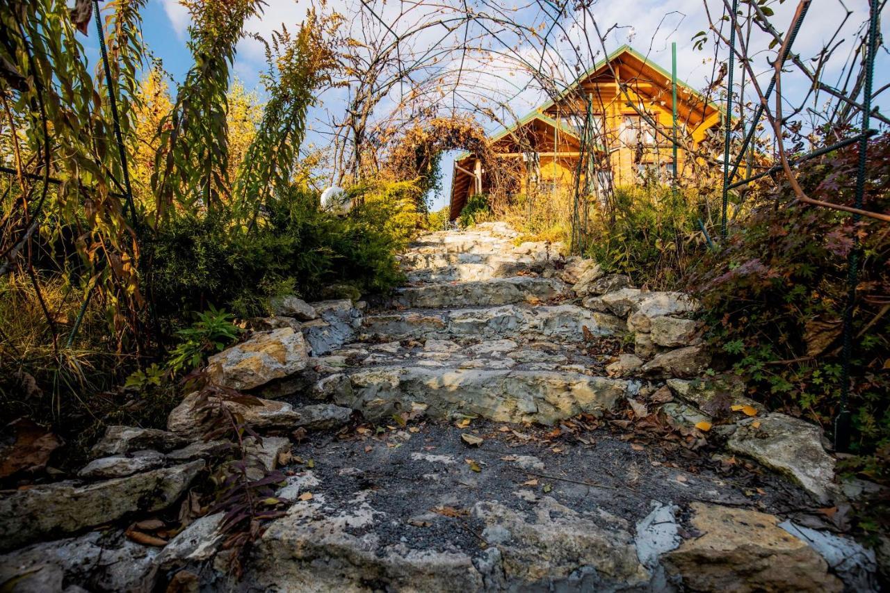 Country house Domik v derevne Markovtsy  Exteriér fotografie