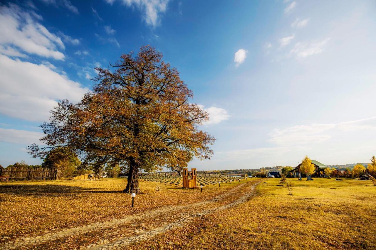 Country house Domik v derevne Markovtsy  Exteriér fotografie